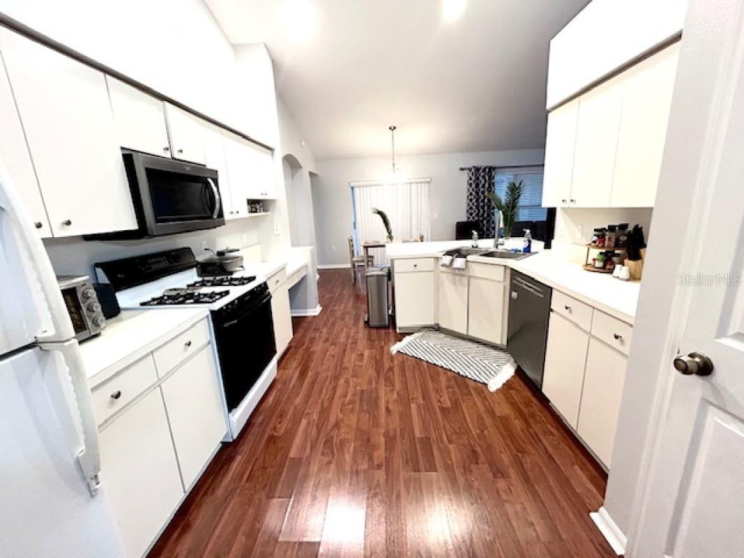 1135 Big Sky Drive Wesley Chapel FL 33543 A4694154 image11