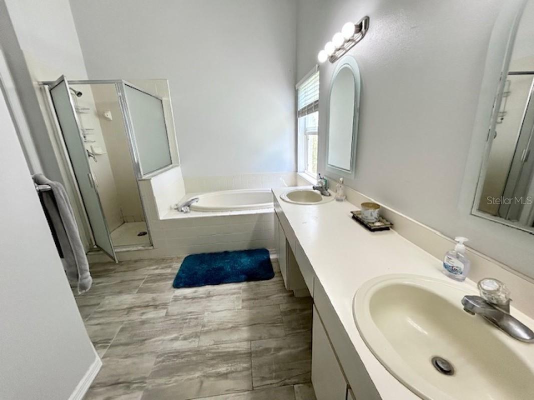 1135 Big Sky Drive Wesley Chapel FL 33543 A4694154 image18