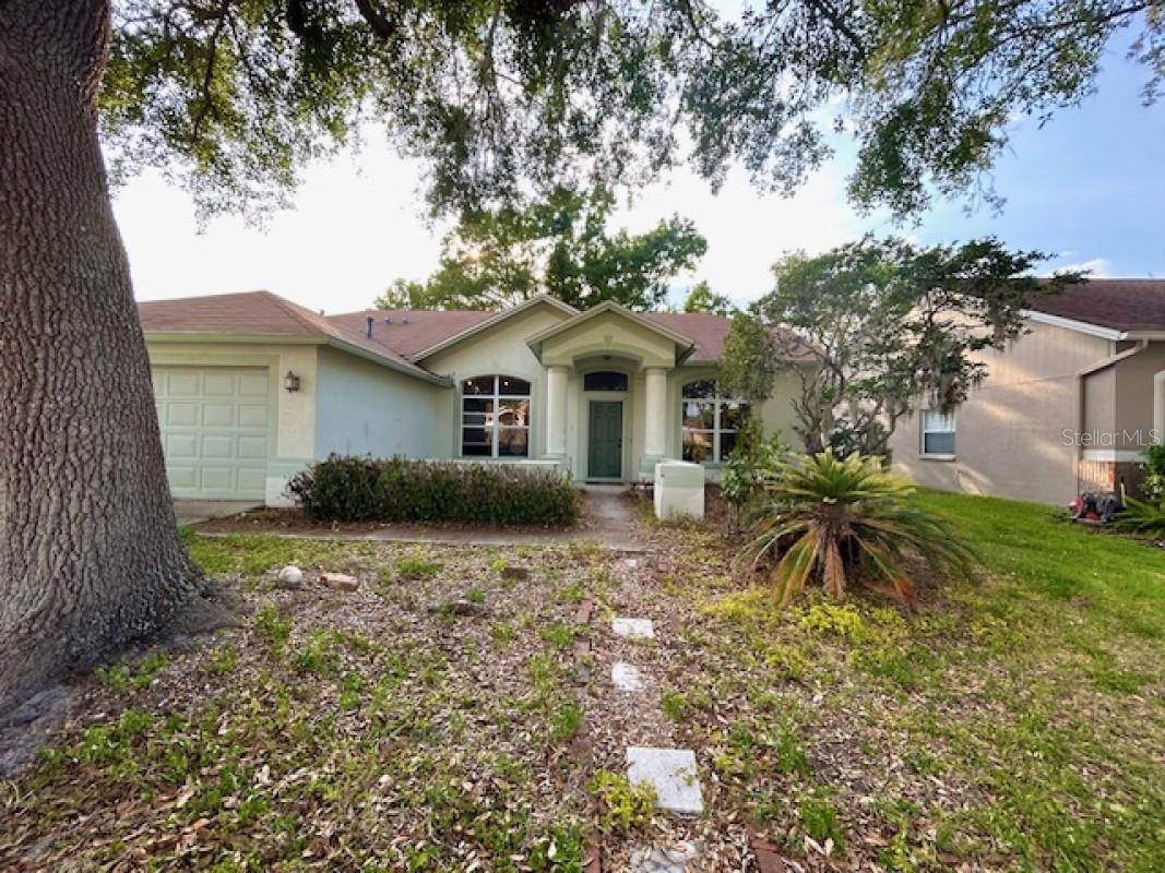 1135 Big Sky Drive Wesley Chapel FL 33543 A4694154 image2