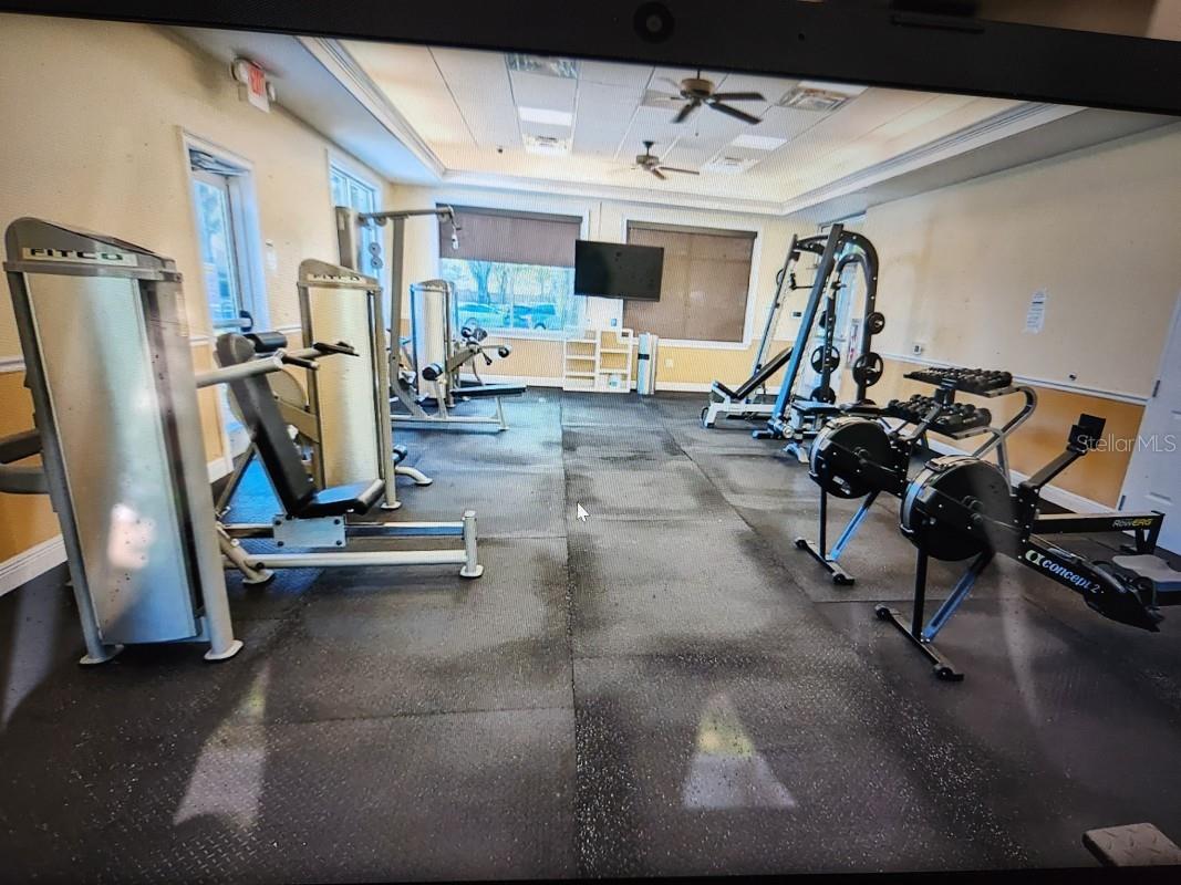 1135 Big Sky Drive Wesley Chapel FL 33543 A4694154 image27