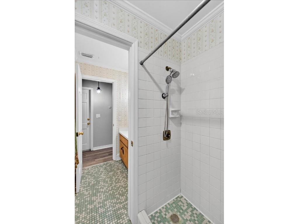 1135 E Mariposa Avenue Bartow FL 33830 L4957088 image33