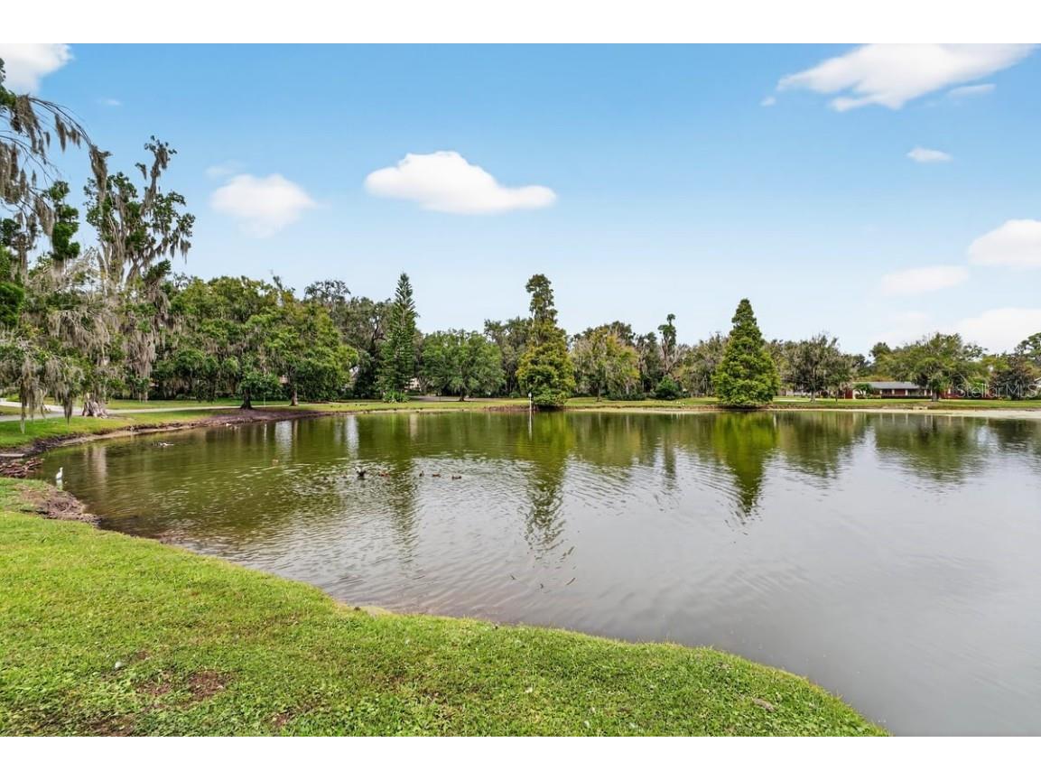 1135 E Mariposa Avenue Bartow FL 33830 L4957088 image51