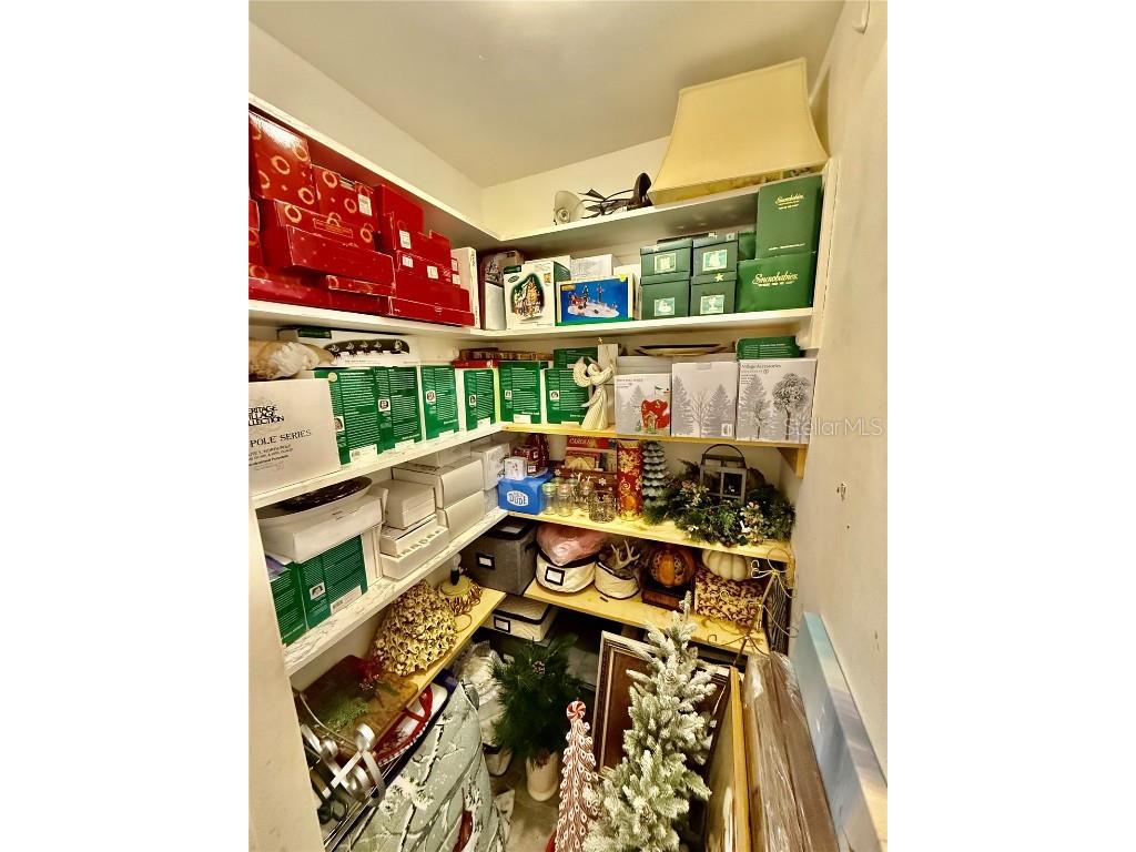 1135 Fountainhead Drive Largo FL 33770 TB8405120 image71