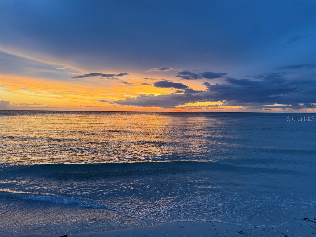 1135 Fountainhead Drive Largo FL 33770 TB8405120 image95