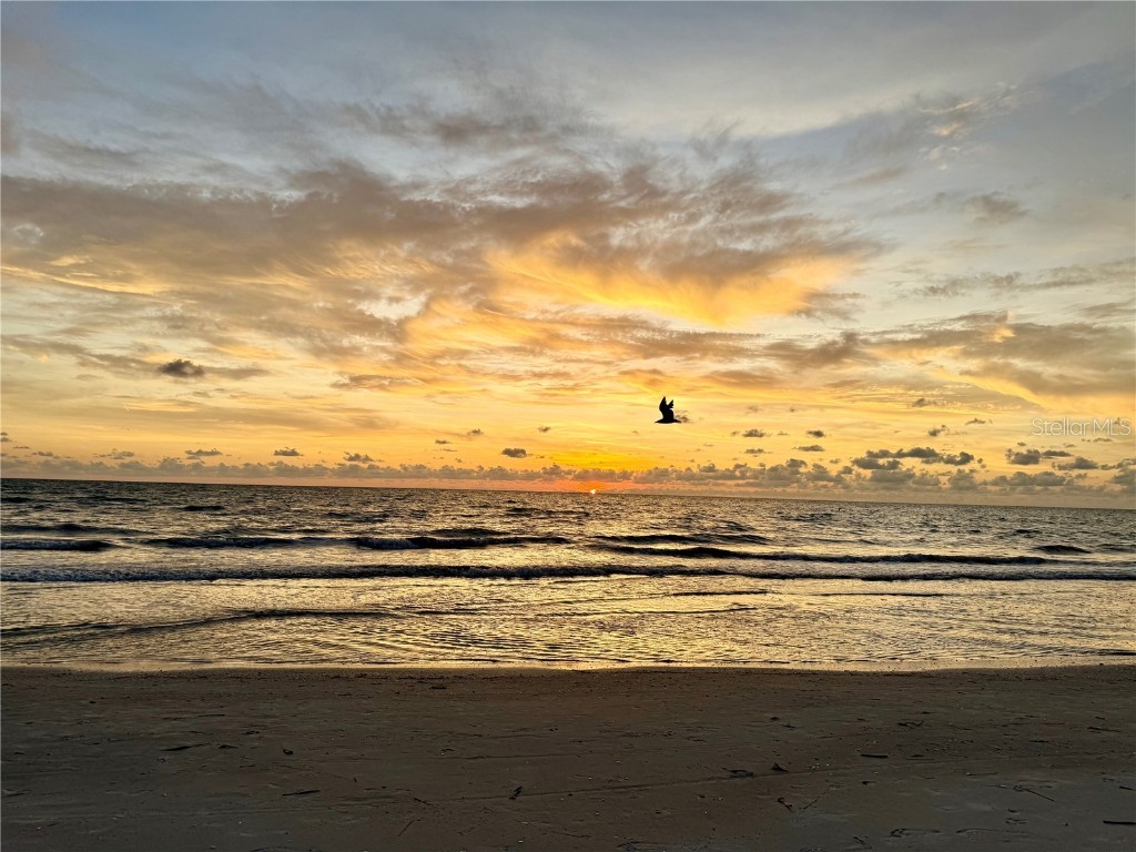 1135 Fountainhead Drive Largo FL 33770 TB8405120 image96