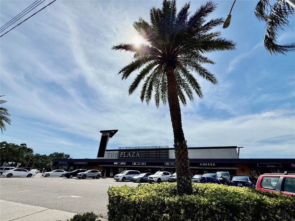 1135 Fountainhead Drive Largo FL 33770 TB8405120 image98