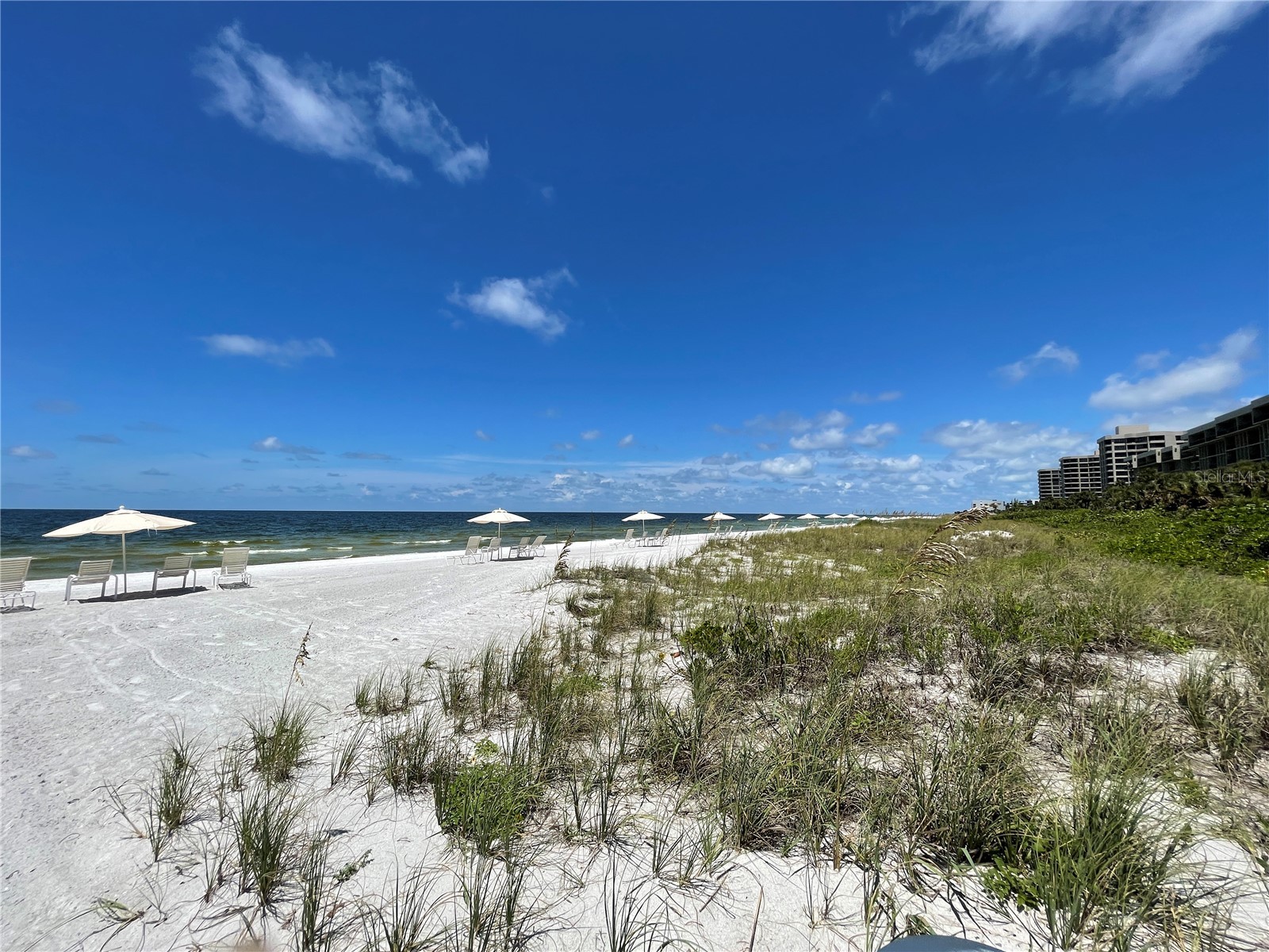 1135 Gulf Of Mexico Drive #505 Longboat Key FL 34228 A4694362 image32