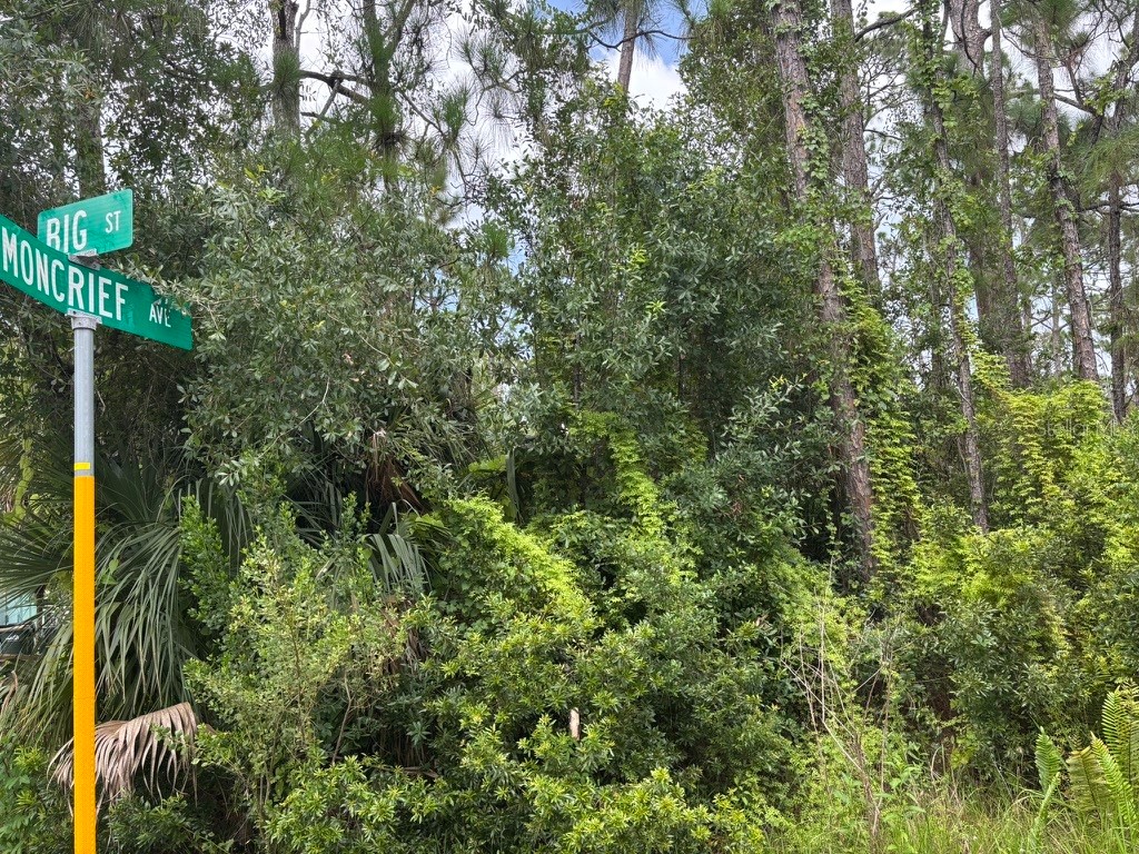 1135 Moncrief Blk 50 Avenue North Port FL 34286 TB8412789 image2