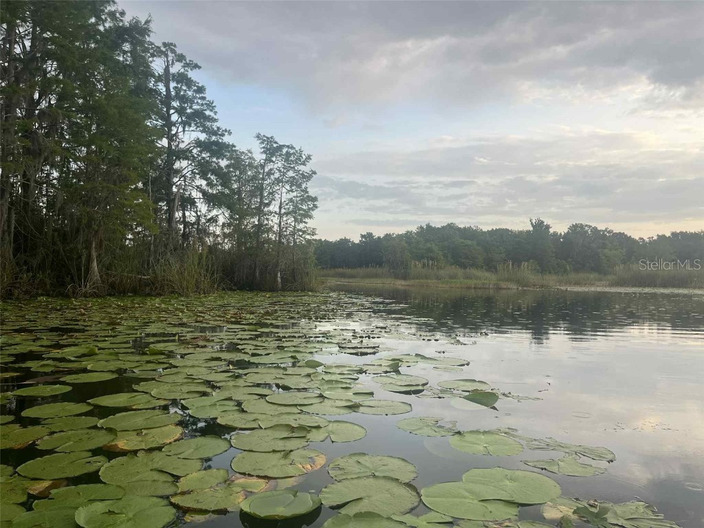 1135 N Jackadee Point Inverness FL 34453 TB8436945 image2