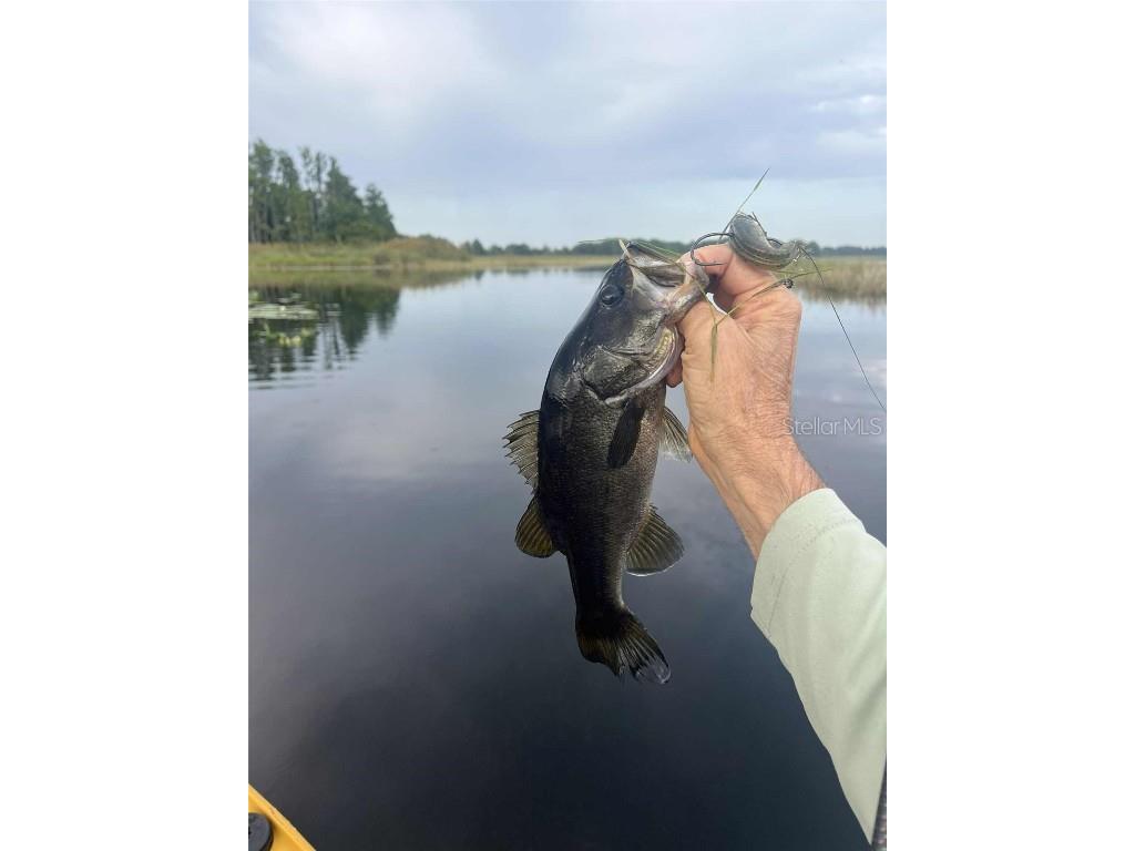 1135 N Jackadee Point Inverness FL 34453 TB8436945 image5