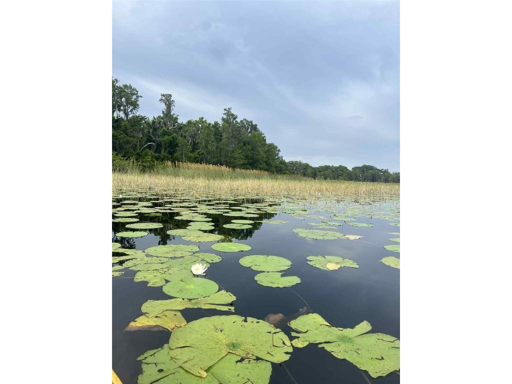 1135 N Jackadee Point Inverness FL 34453 TB8436945 image6