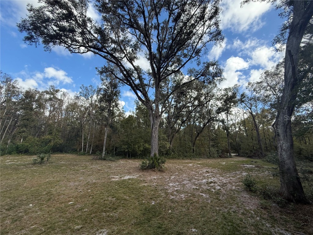 1135 NE 673rd Old Town FL 32680 GC526584 image1
