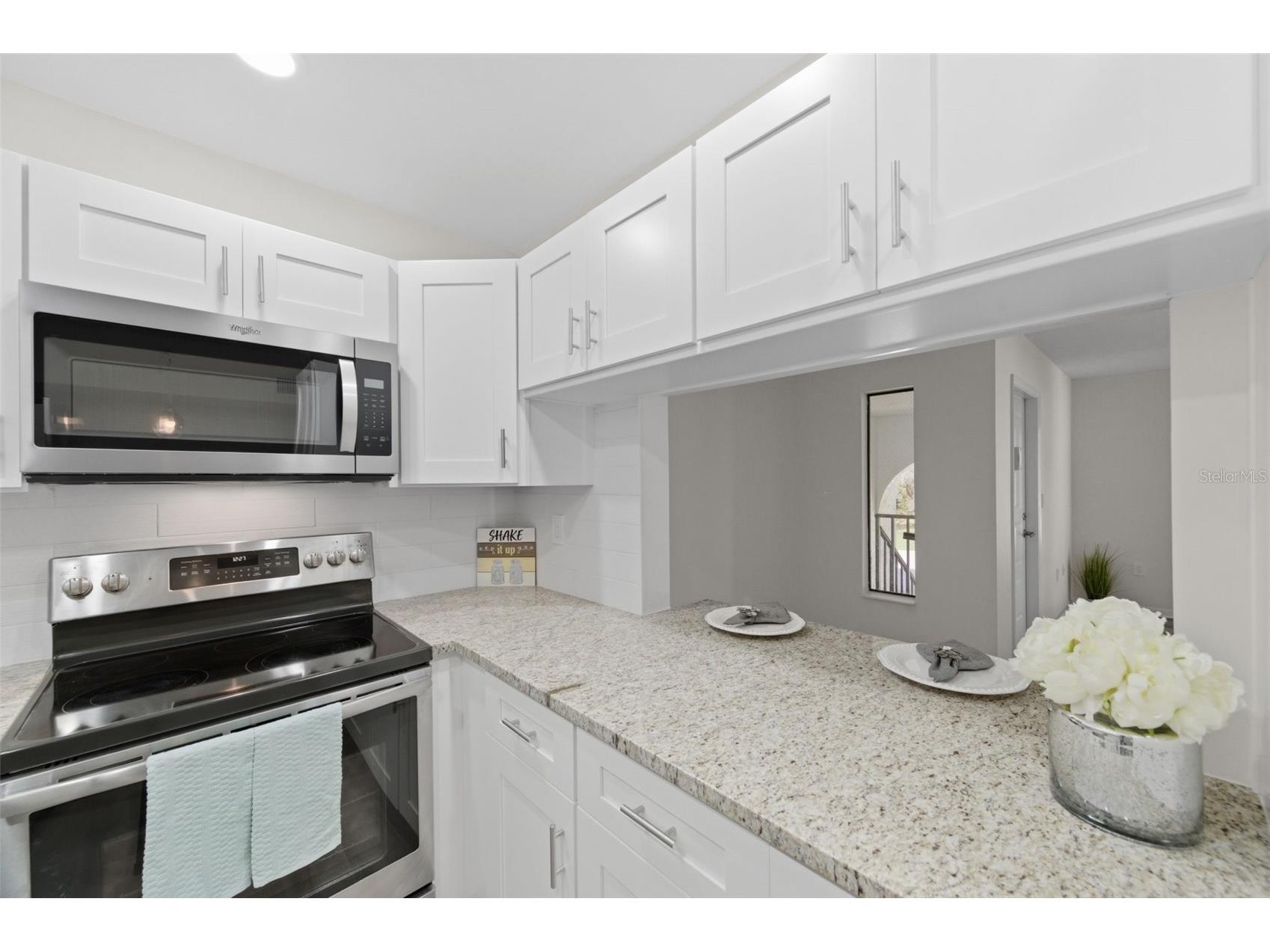 1135 Pine Ridge Circle W #A2 Tarpon Springs FL 34688 TB8493534 image18