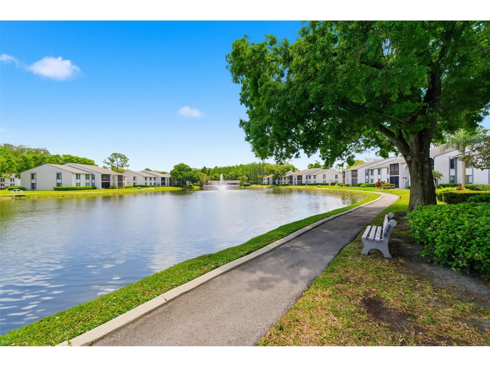 1135 Pine Ridge Circle W #A2 Tarpon Springs FL 34688 TB8493534 image42