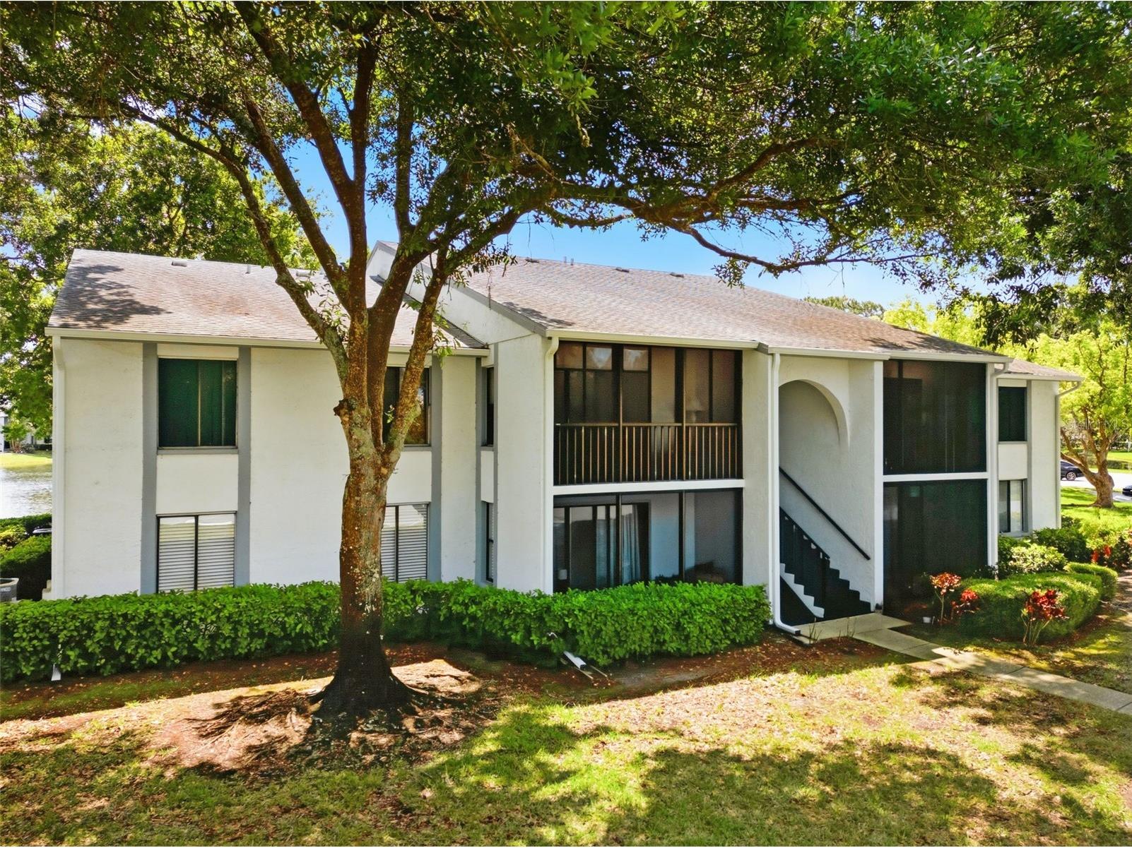 1135 Pine Ridge Circle W #A2 Tarpon Springs FL 34688 TB8493534 image43