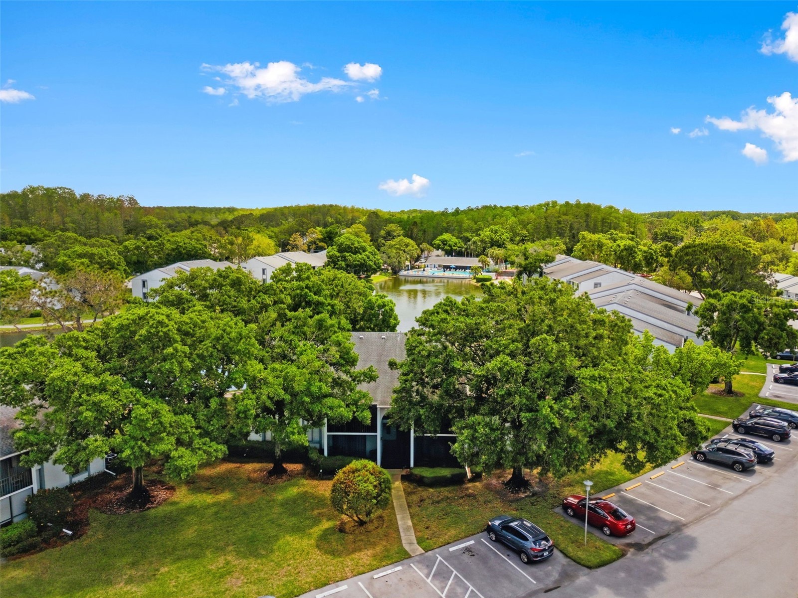 1135 Pine Ridge Circle W #A2 Tarpon Springs FL 34688 TB8493534 image46