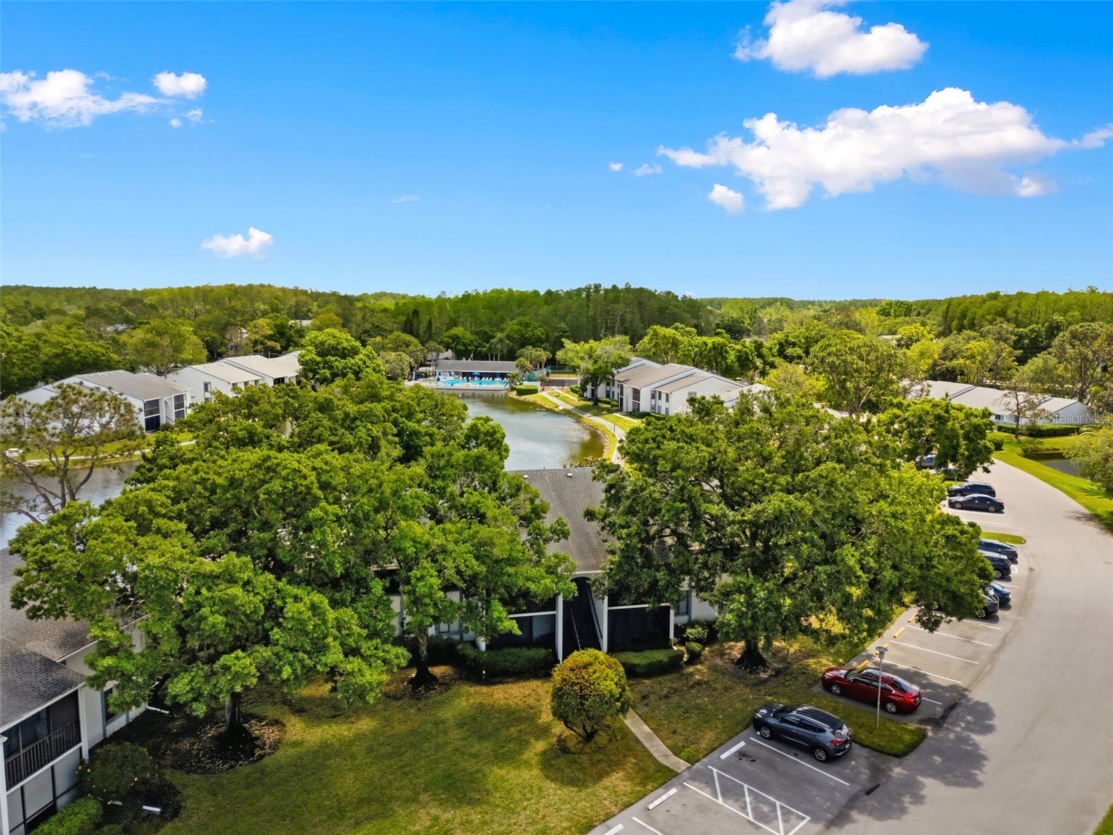 1135 Pine Ridge Circle W #A2 Tarpon Springs FL 34688 TB8493534 image47