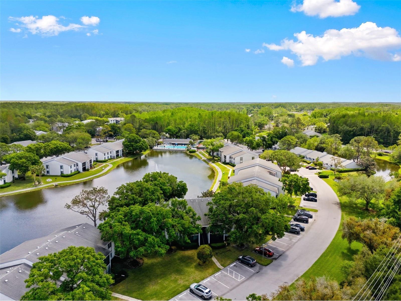 1135 Pine Ridge Circle W #A2 Tarpon Springs FL 34688 TB8493534 image48