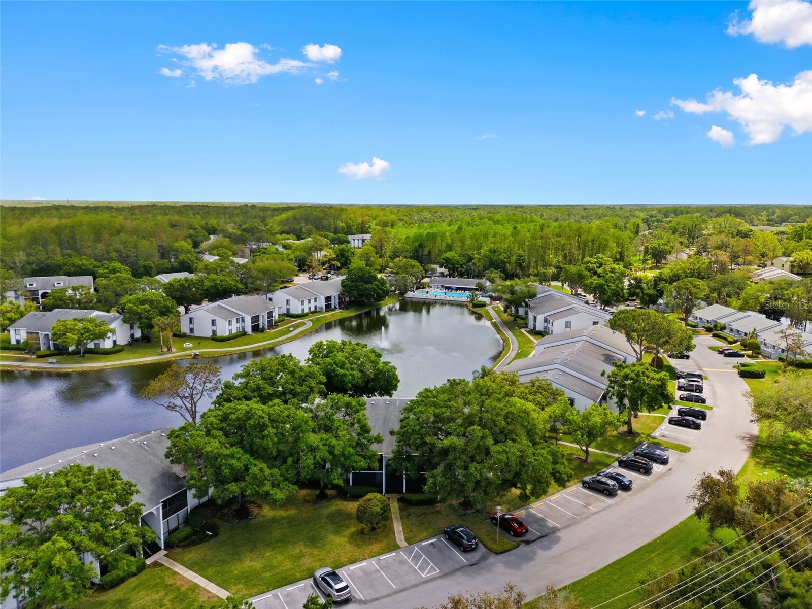 1135 Pine Ridge Circle W #A2 Tarpon Springs FL 34688 TB8493534 image49