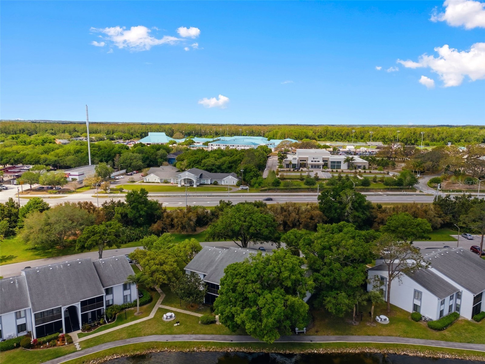 1135 Pine Ridge Circle W #A2 Tarpon Springs FL 34688 TB8493534 image52