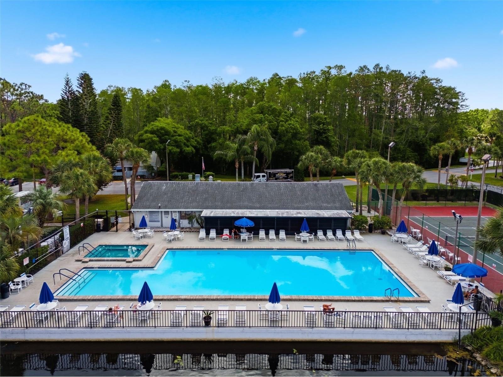 1135 Pine Ridge Circle W #A2 Tarpon Springs FL 34688 TB8493534 image55