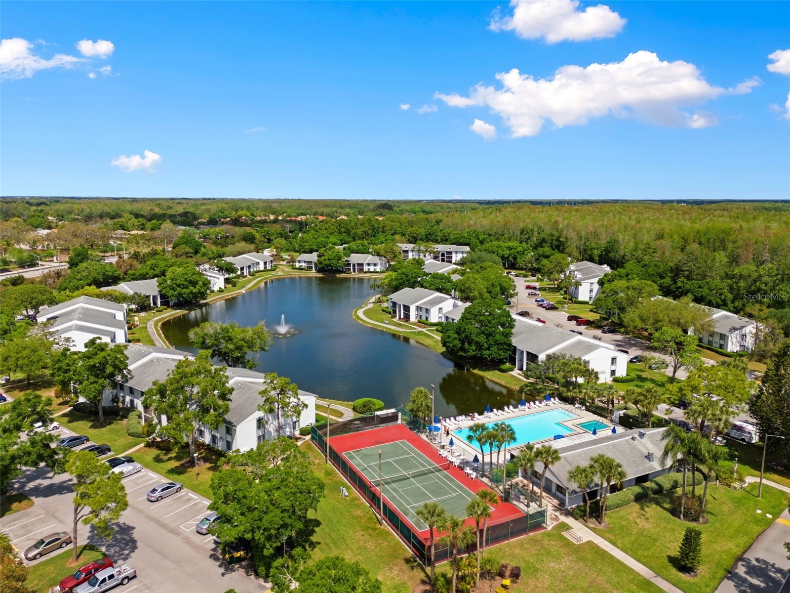 1135 Pine Ridge Circle W #A2 Tarpon Springs FL 34688 TB8493534 image60