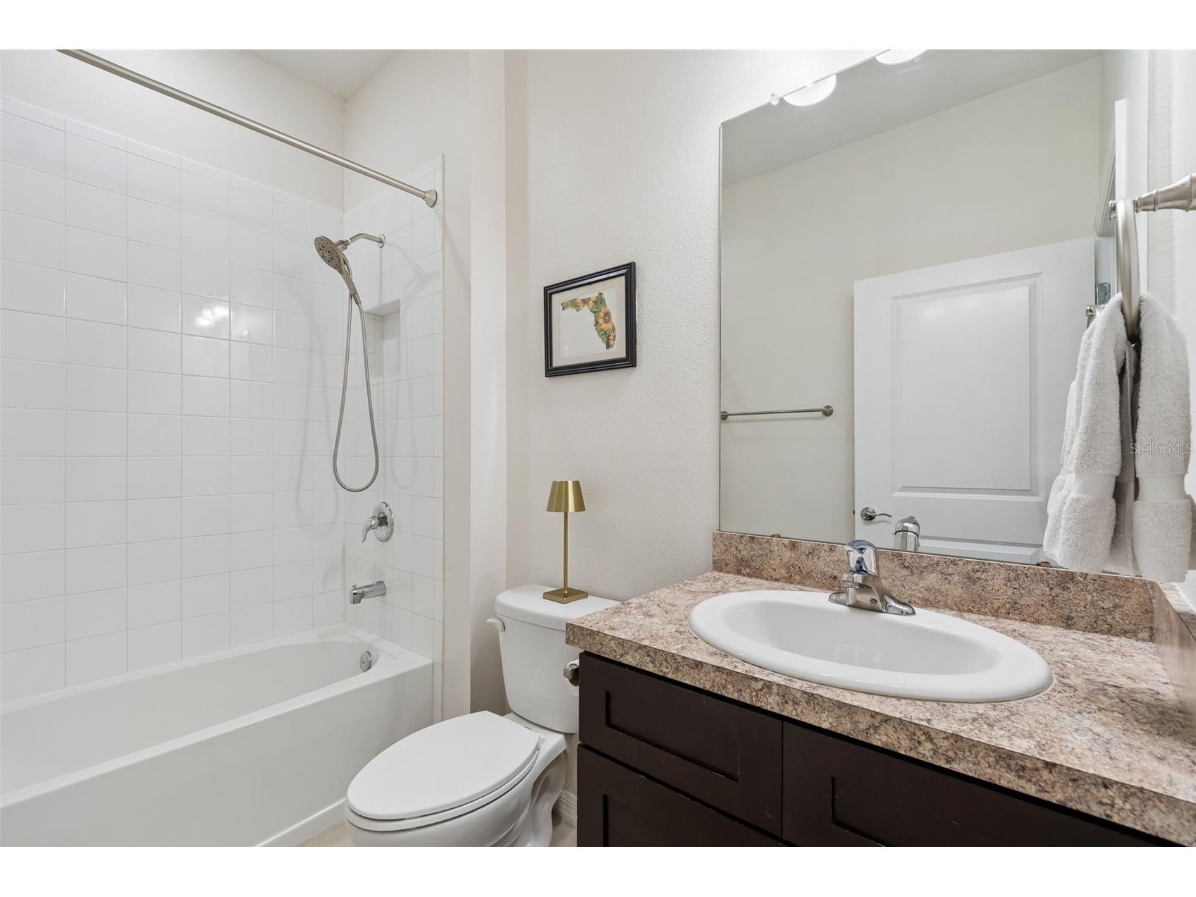 1135 Pipestone Place Wesley Chapel FL 33543 TB8490424 image32