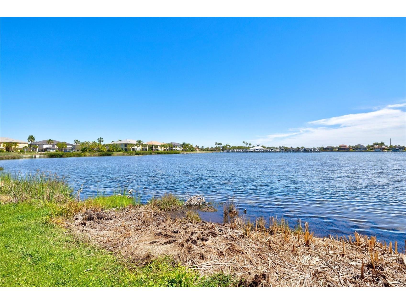 1135 Riverscape Street #1135 Bradenton FL 34208 - MANATEE RIVER A4687171 image55
