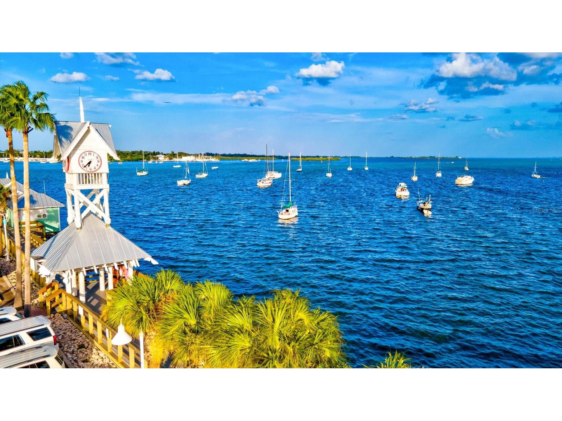 1135 Riverscape Street #1135 Bradenton FL 34208 - MANATEE RIVER A4687171 image98