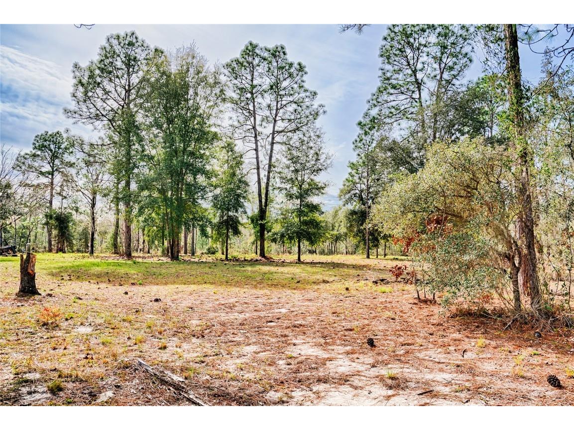 11350 NE 50th Street Bronson FL 32621 GC518856 image1