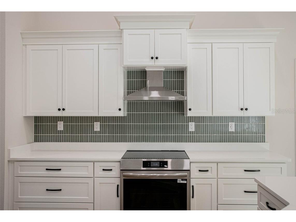 11350 Sage Thrasher Avenue Weeki Wachee FL 34614 TB8447910 image14