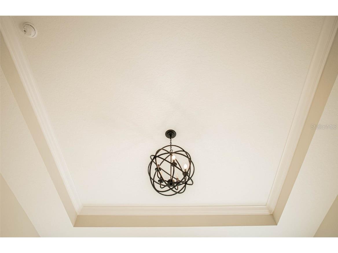 11350 Sage Thrasher Avenue Weeki Wachee FL 34614 TB8447910 image23