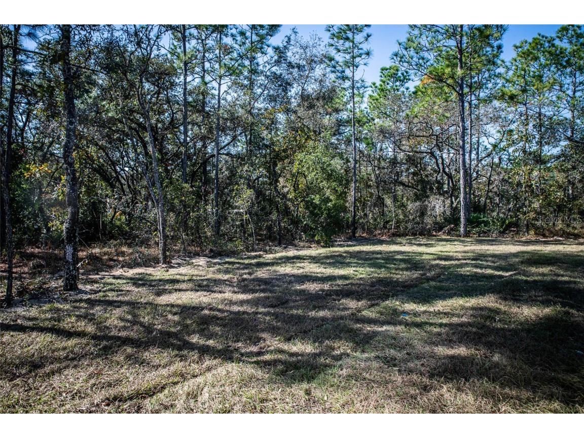 11350 Sage Thrasher Avenue Weeki Wachee FL 34614 TB8447910 image44