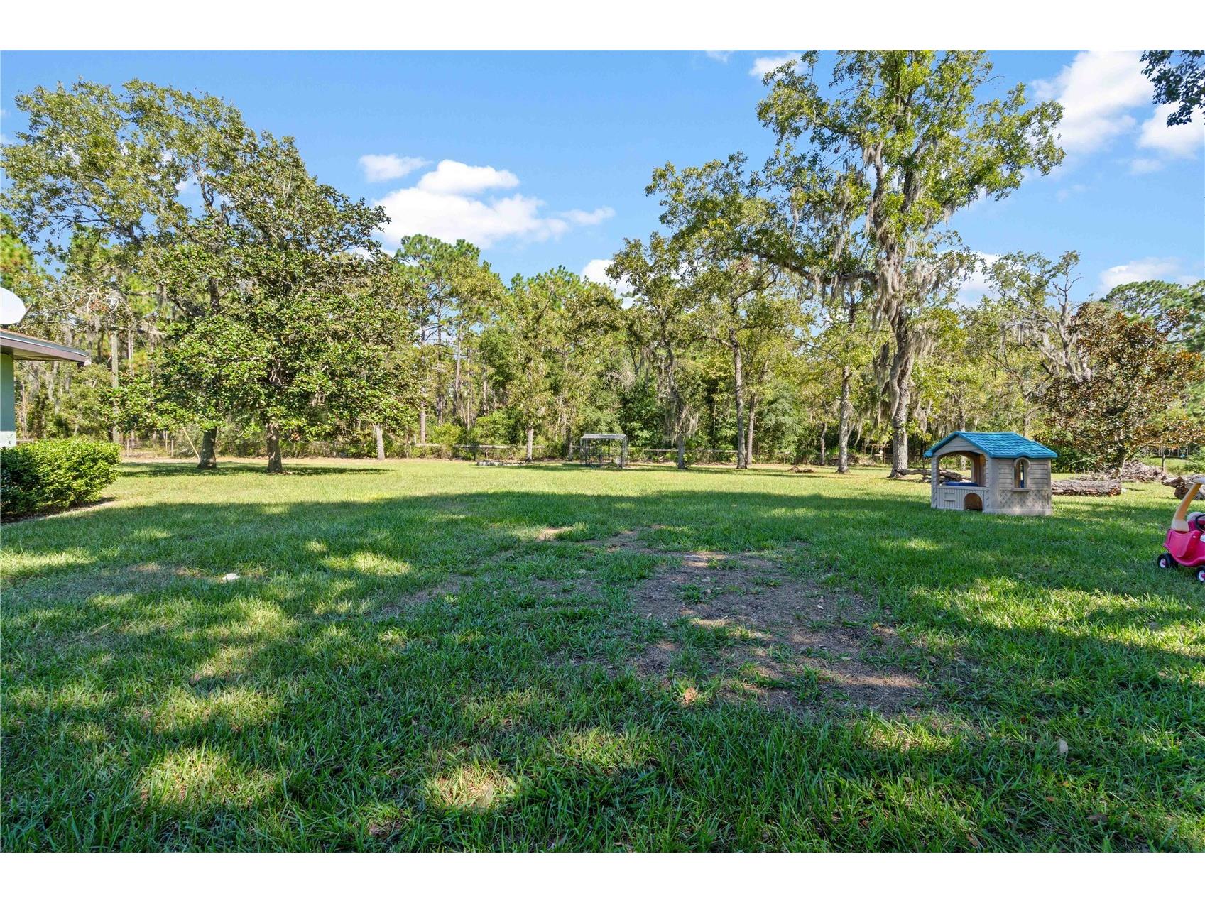 11350 SE 35th Street Morriston FL 32668 OM709973 image4