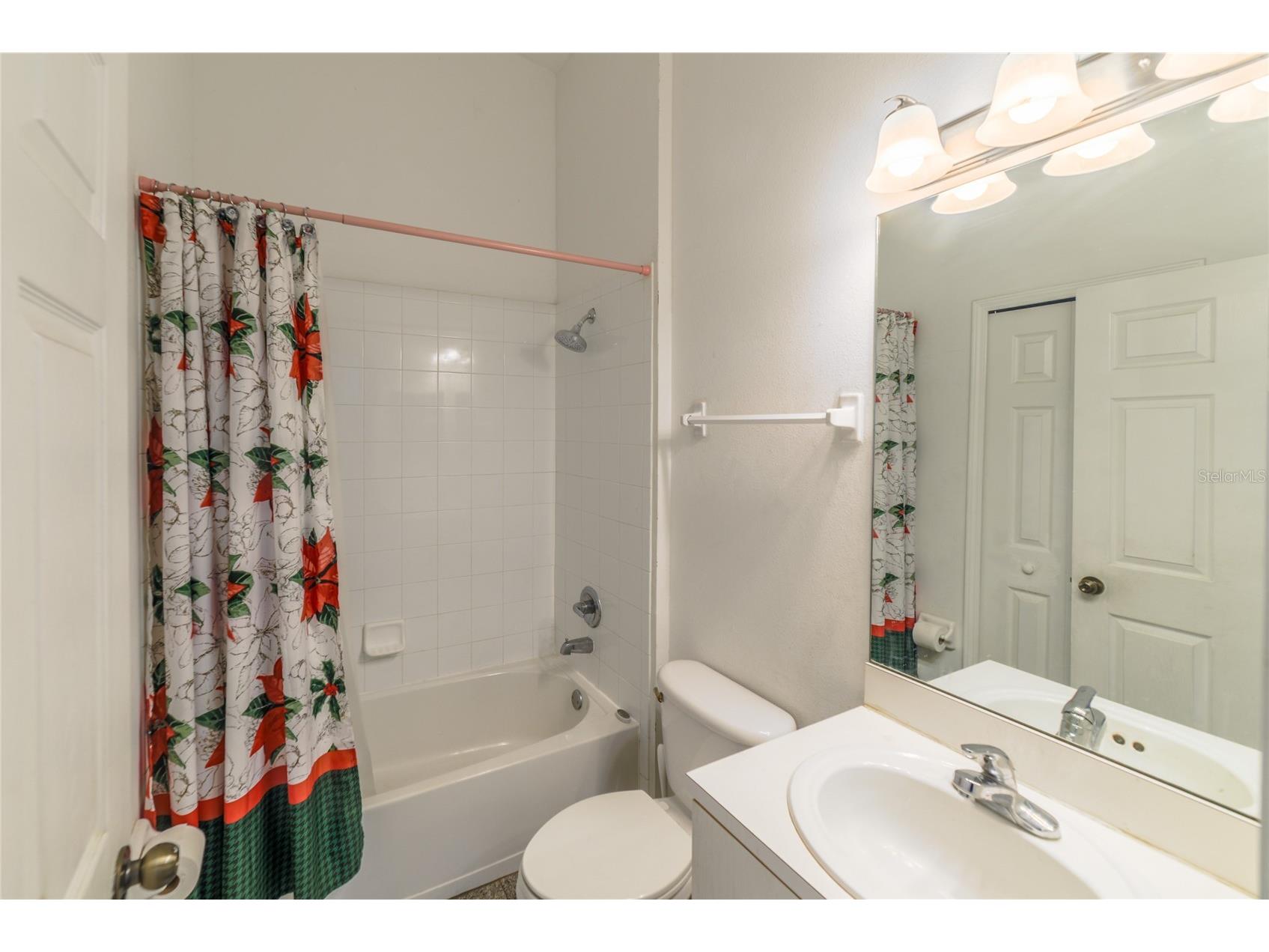 11351 Cocoa Beach Drive Riverview FL 33569 TB8484882 image25