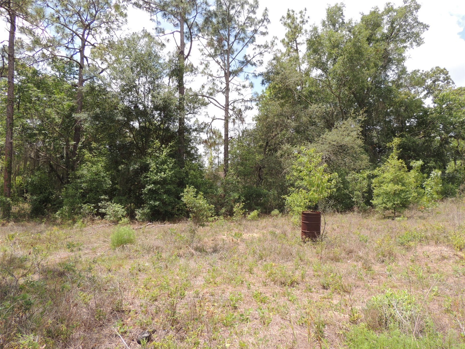 11351 SE 32nd Place Morriston FL 32668 OM725083 image10