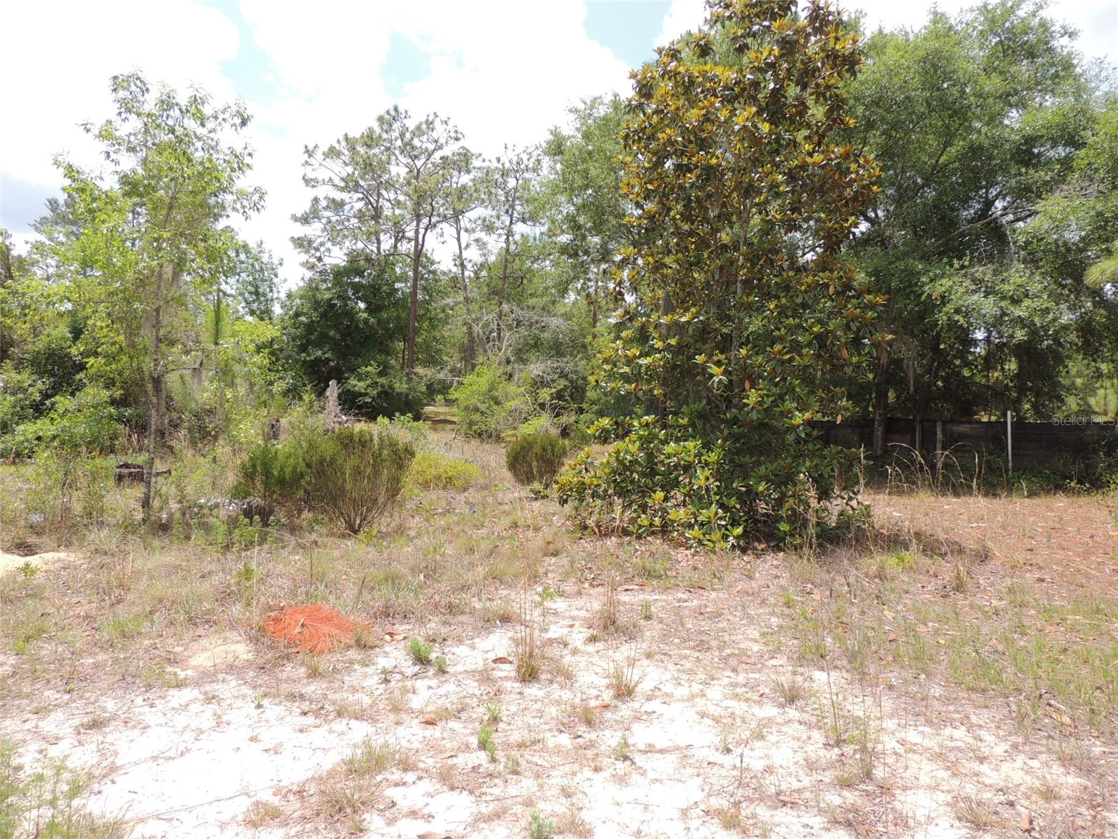 11351 SE 32nd Place Morriston FL 32668 OM725083 image11