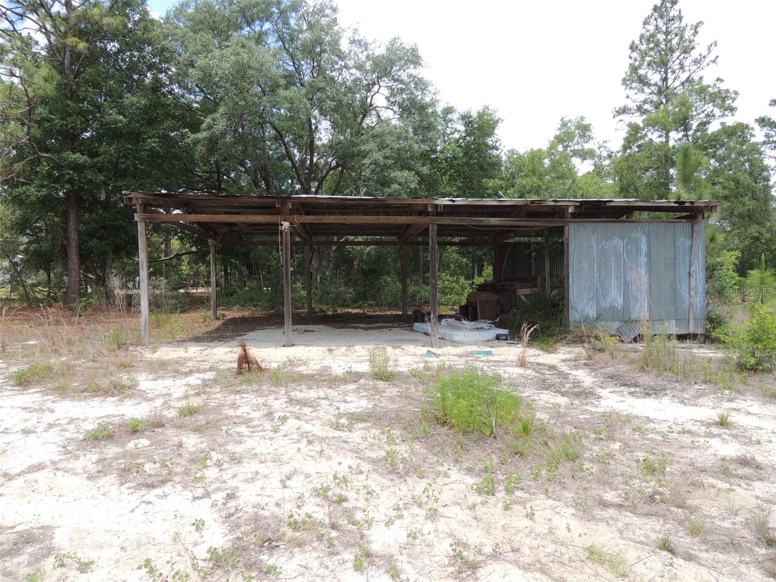 11351 SE 32nd Place Morriston FL 32668 OM725083 image12