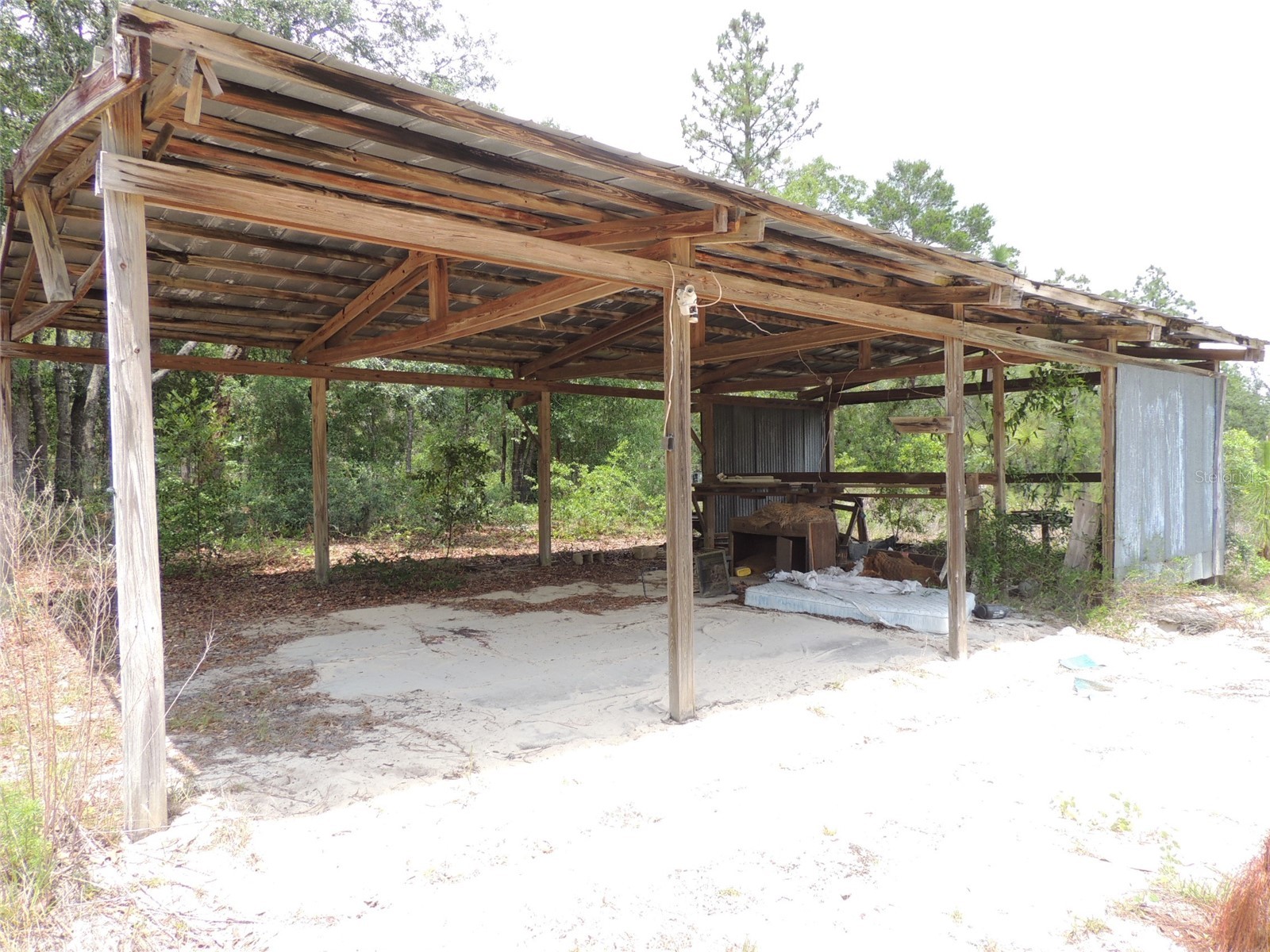 11351 SE 32nd Place Morriston FL 32668 OM725083 image13