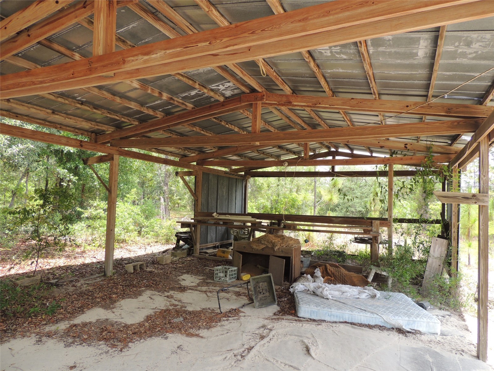 11351 SE 32nd Place Morriston FL 32668 OM725083 image14