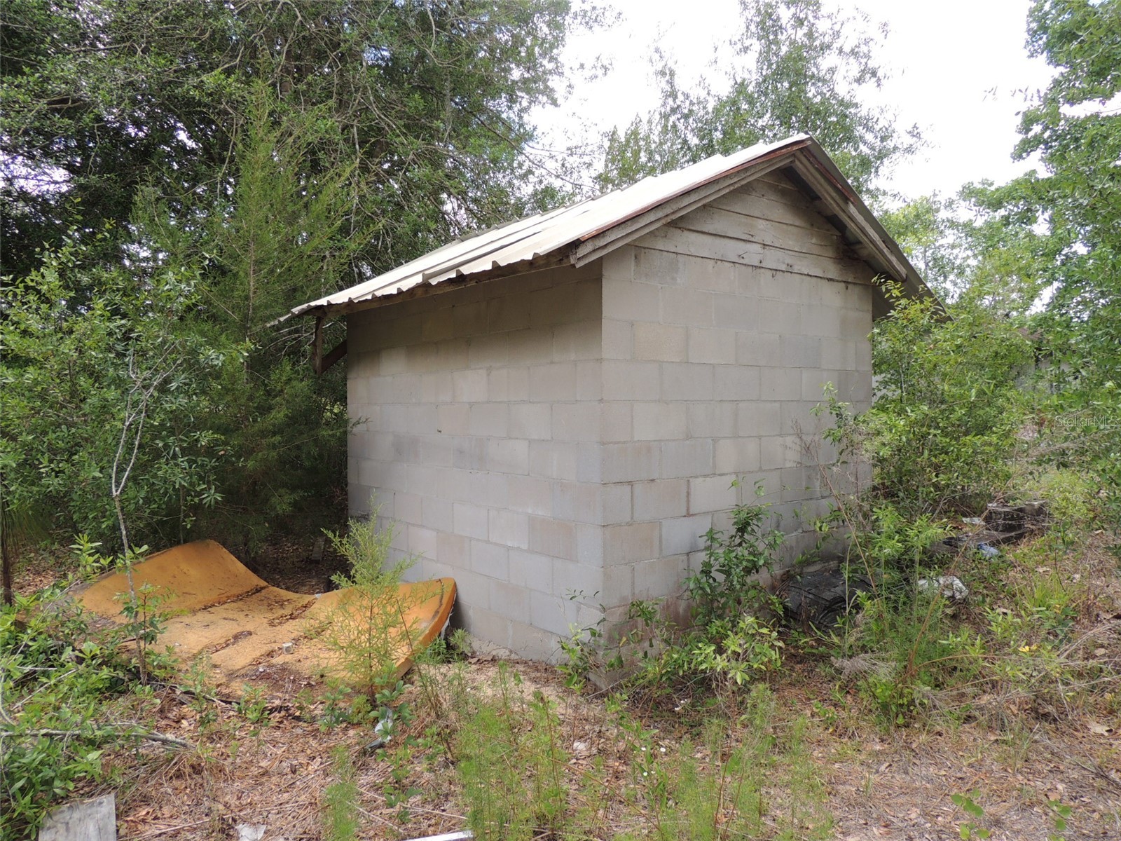 11351 SE 32nd Place Morriston FL 32668 OM725083 image15