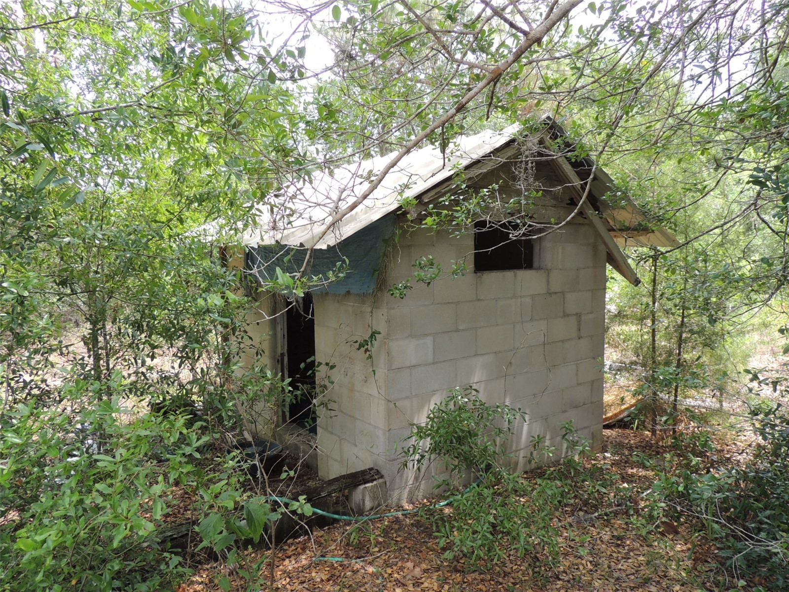 11351 SE 32nd Place Morriston FL 32668 OM725083 image16
