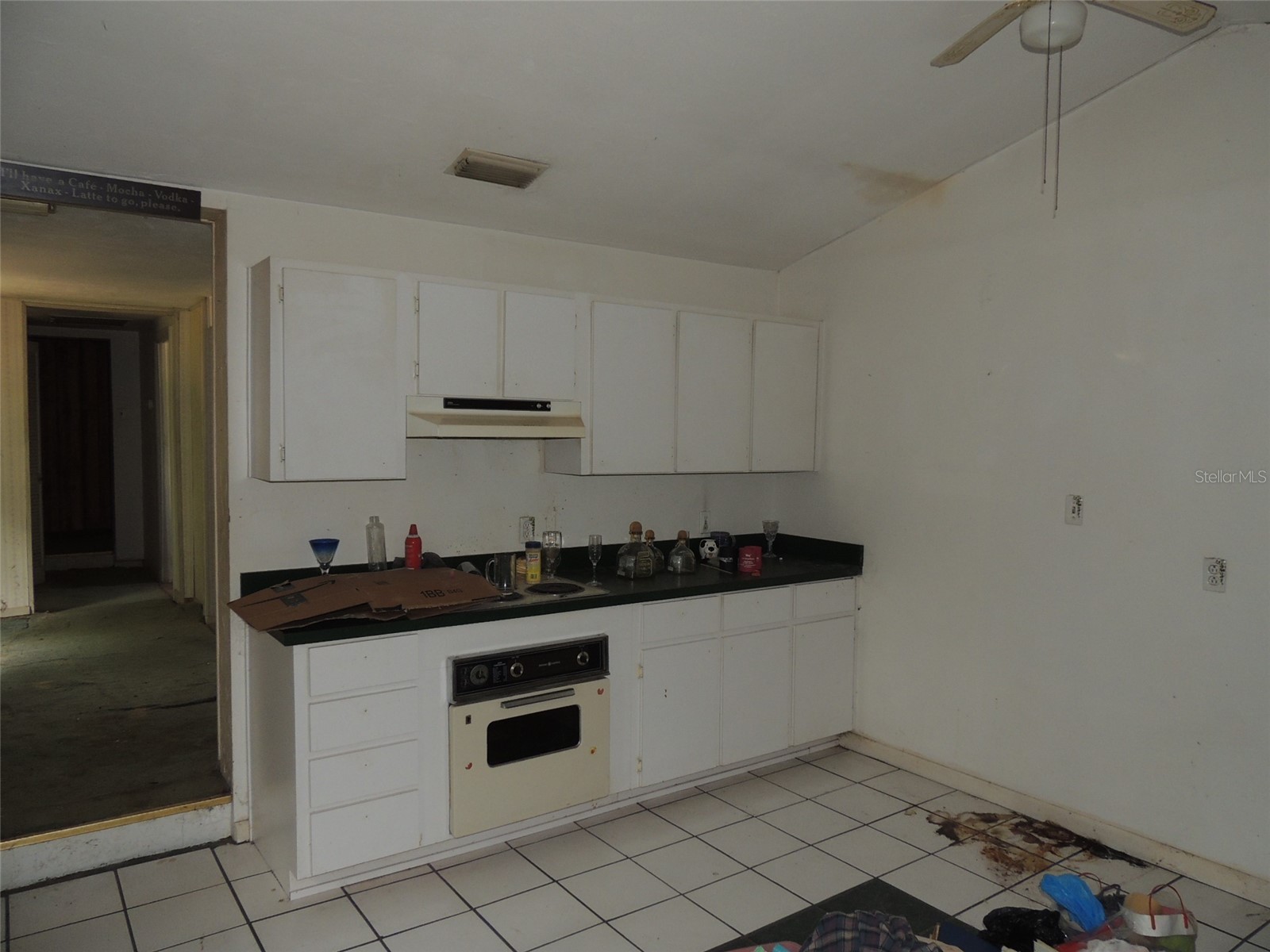 11351 SE 32nd Place Morriston FL 32668 OM725083 image25