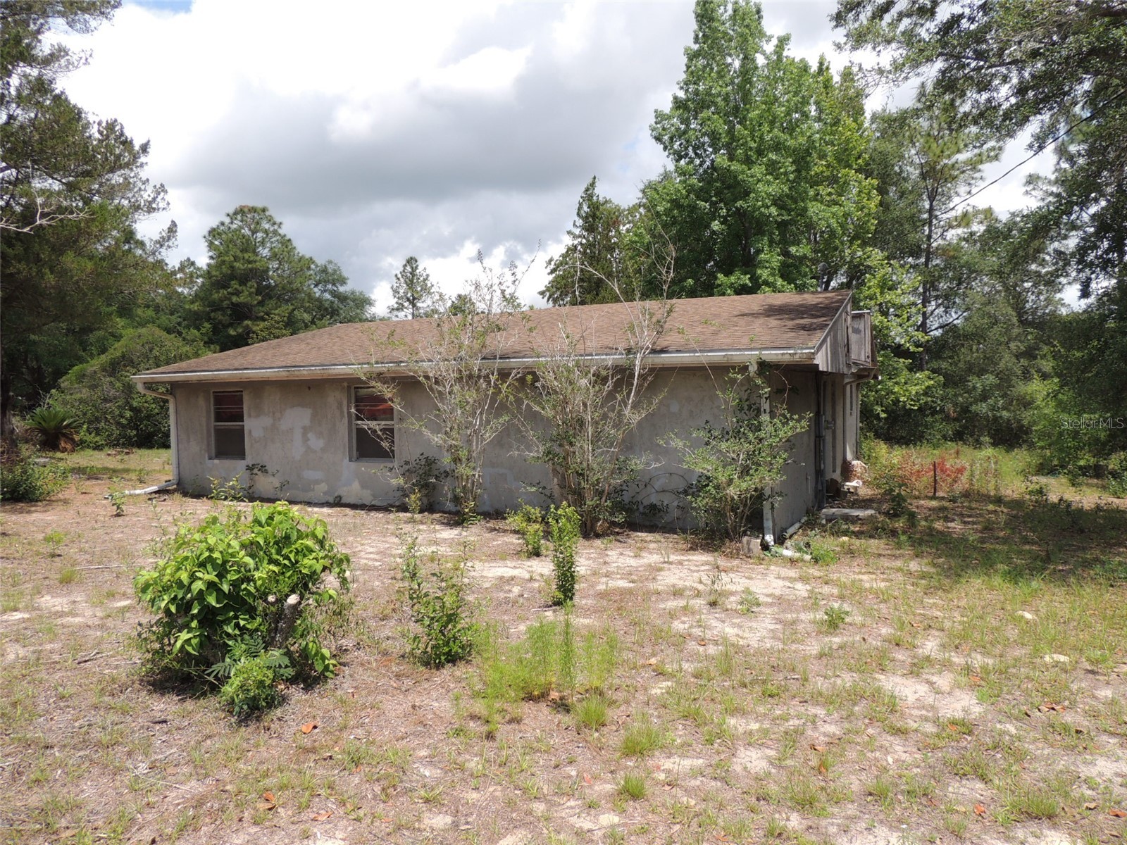 11351 SE 32nd Place Morriston FL 32668 OM725083 image3