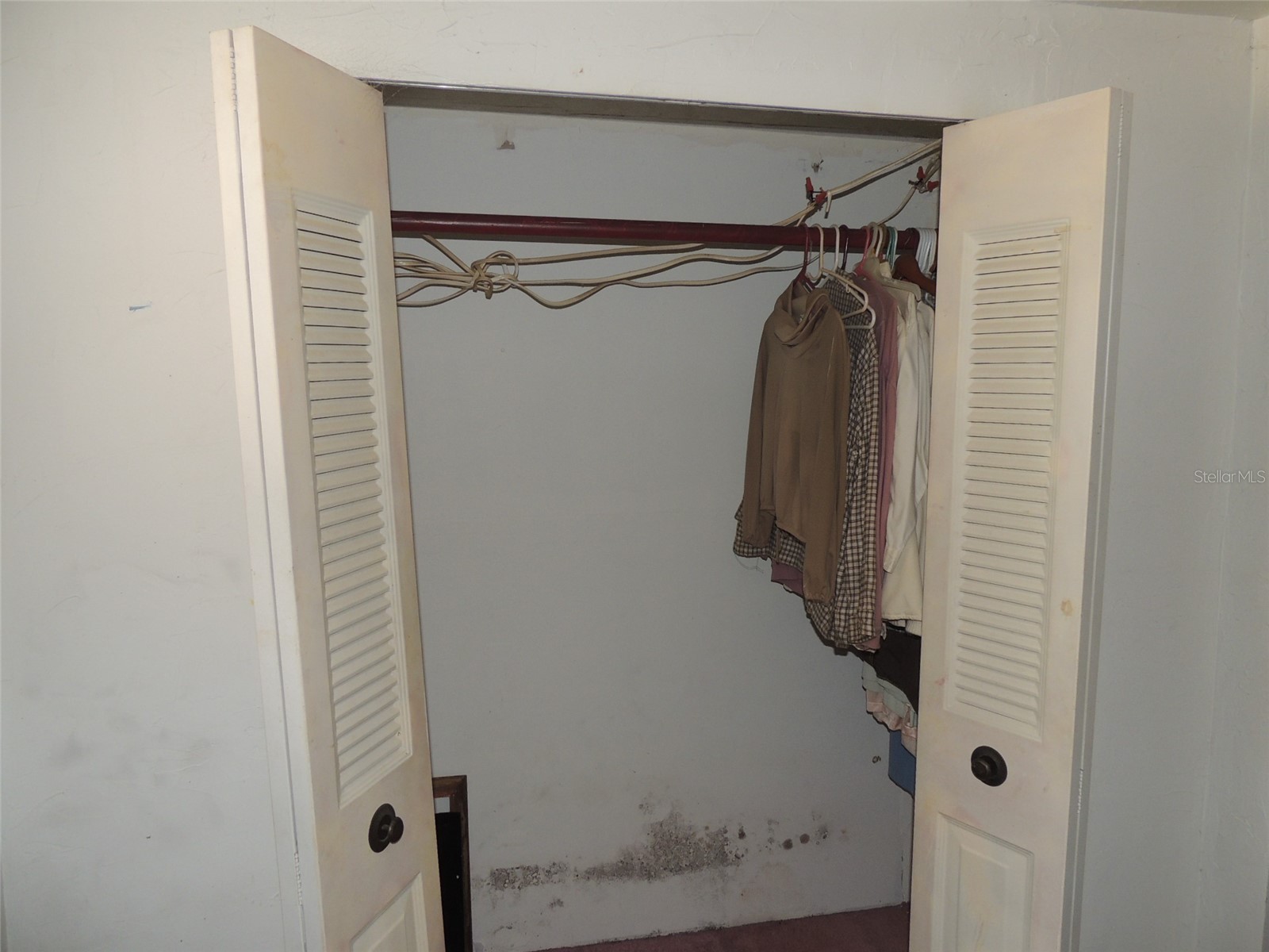 11351 SE 32nd Place Morriston FL 32668 OM725083 image33