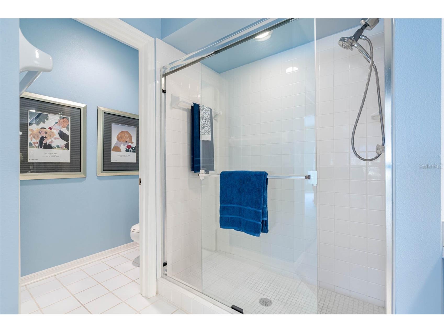 11351 Shipwatch Lane #1841 Largo FL 33774 - INTRACOASTAL TB8493556 image33