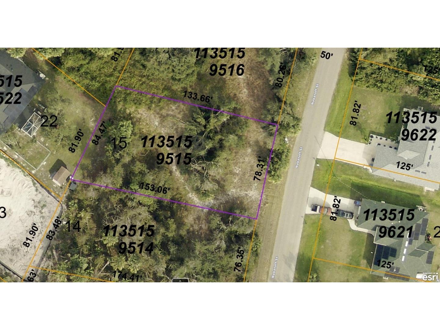 1135159515 Nabatoff Street North Port FL 34288 A4620409 image1