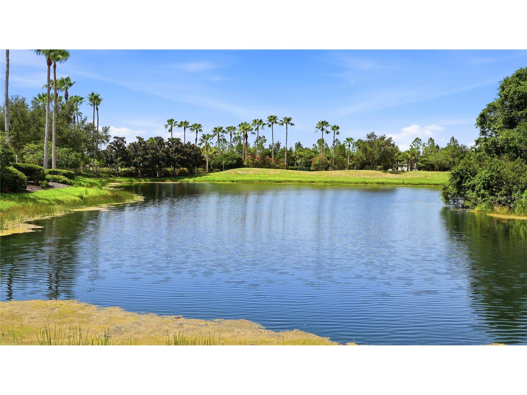 11352 White Rock Terrace Bradenton FL 34211 A4700231 image30