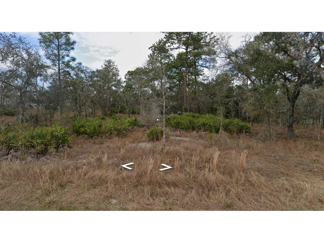 11353 Quill Avenue Brooksville FL 34614 W7884009 image1