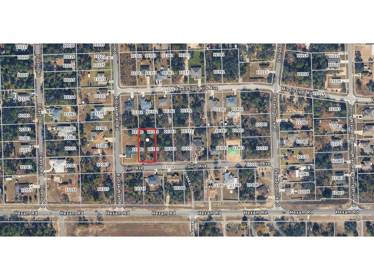 11353 Quill Avenue Brooksville FL 34614 W7884009 image2